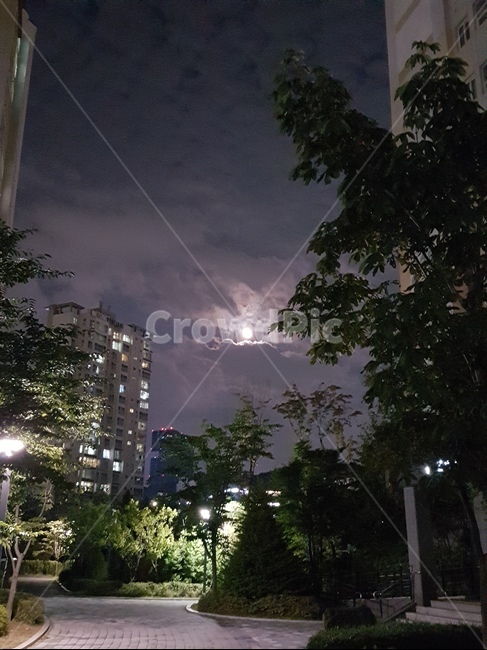 날씨,자연,옥외,보름달,추석,정월대보름,저녁하늘,도시의저녁,야경,밤,풍경,nightscape,night,landscape,weather,nature,outdoors
