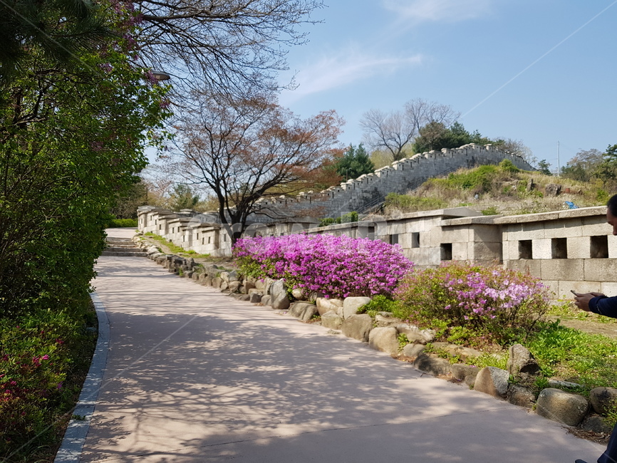성곽,성벽,소풍,산책,둘레길,봄,진달래,오솔길,등산,산행,문화유산,서울길,화창한,따뜻한,날씨