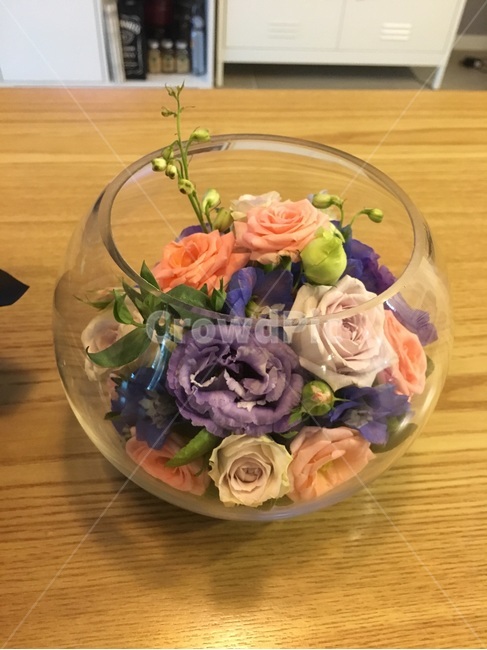 꽃,꽃꽂이,수반,꽃다발,버블볼,실내용화초,화분,화초,house plant