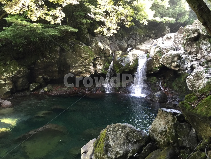 제주도,폭포,숲,자연,물,자연,풍경,nature,landscape,water,river,강,outdoors,옥외,waterfall