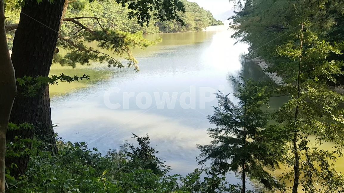 자연,나무,휴식,평화,강,산챽,자연,풍경,nature,landscape