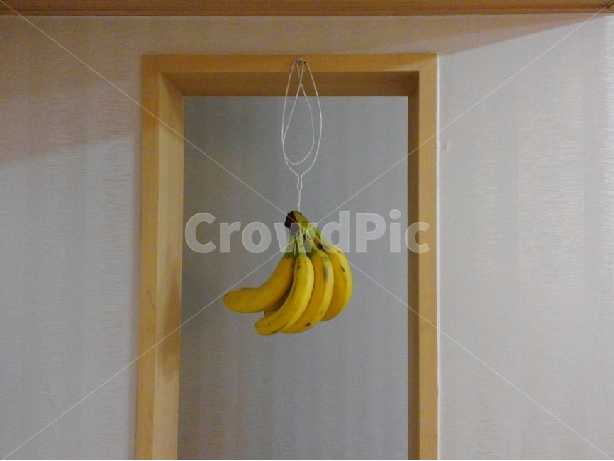과일,바나나,banana,재미있는,매달린,음식,식재료,요리,food,cook,meal,dishes,food reserves,과일,열매,fruit