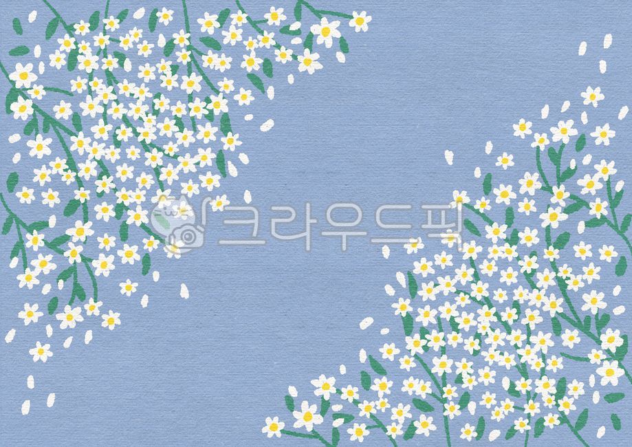 Gypsophila,background image,white flower,hand drawing,background,background picture,flower garden,illustration,flower road,flower