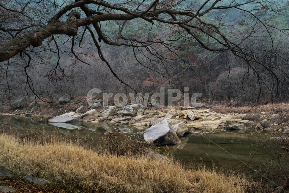 풍경,겨울,계곡,괴산,화양구곡,자연,풍경,nature,landscape,water,물,outdoors,옥외,plant,식물,tree,나무