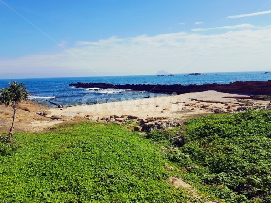풍경,바다,식물,초목,nature,ocean,대양,sea,water,물