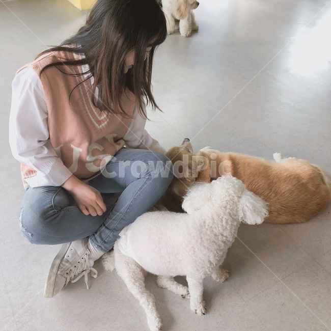 여자,강아지,동물카페,옆모습,동물,사람,human,person