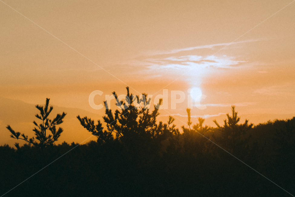 sunlight,햇빛,nature,자연,flare,플레어,light,빛,outdoors,옥외,sky,하늘,dusk,황혼,sunset,일몰,redsky,붉은하늘,노을,자연,풍경,nature,landscape