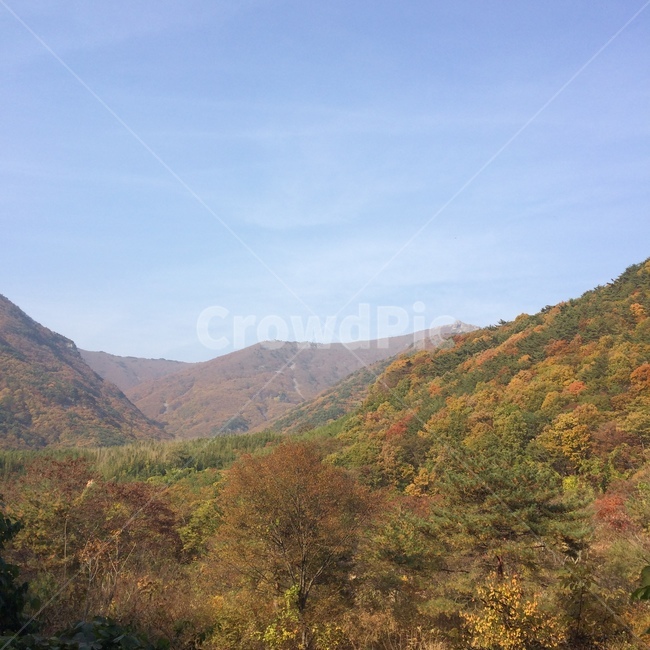 가을,단풍,나무,산,풍경,하늘,구름,맑음,가을,계절,fall,autumn,season,nature,자연,outdoors,옥외,hill,언덕