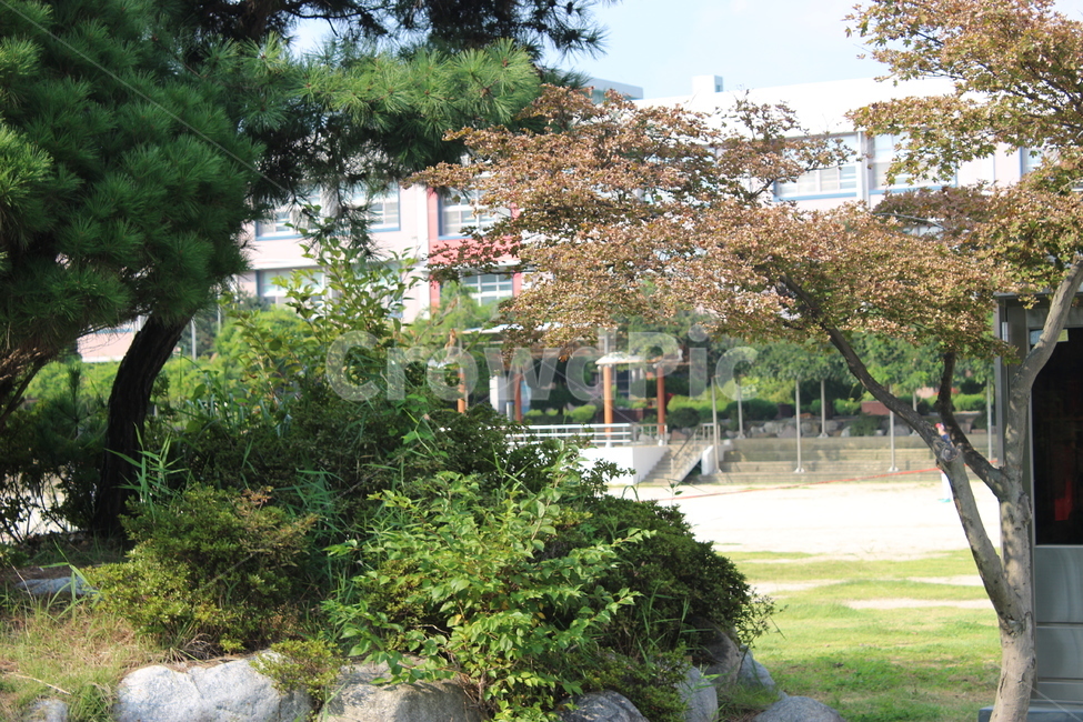 outdoors,arbour,옥외,garden,정원,person,나무,plant,식물,tree,학교,분재,식물,자연,plants,nature,나무,trees,wood