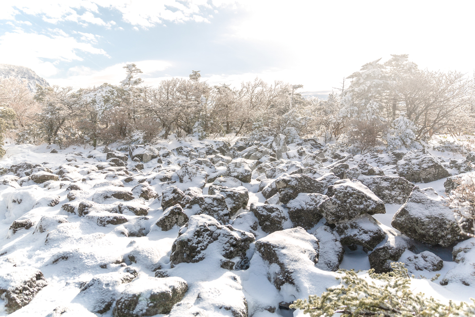 한라산,제주도,영실코스,설산,바위,겨울,계절,winter,season,자연,풍경,nature,landscape,한국자연풍경,한국자연경관,korea nature landscape,outdoors,옥외,snow,눈,ice,빙