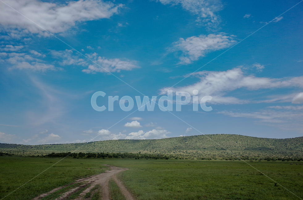 아프리카,르완다,사파리,아카제라국립공원,akageranationalpark,rwanda,africa,야생동물,자연,풍경,nature,landscape,해외,외국,세계,foreign,oversea,world,세계자연풍경,해외자연풍경,외국자연풍경,world nature landscape,grassland,목초지,outdoors,옥외,field,들