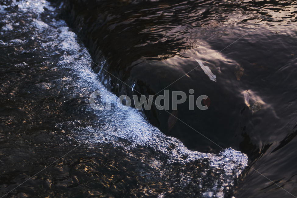 자연,강,물,water,nature