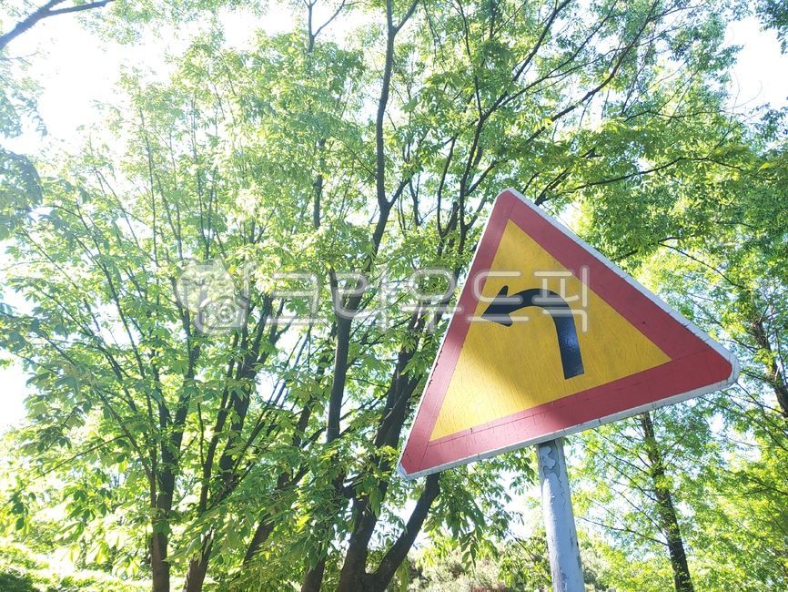 serenity,arrow,nature,Left turn sign,tree,sign,sunlight,turn left,Freshness,triangle sign,fresh,traffic sign,park