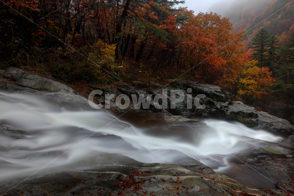 계곡,바위,자연,풍경,물,숲,산,장노출,나무,단풍,가을,가을,계절,fall,autumn,season,자연,풍경,nature,landscape,한국자연풍경,한국자연경관,korea nature landscape,water,outdoors,옥외