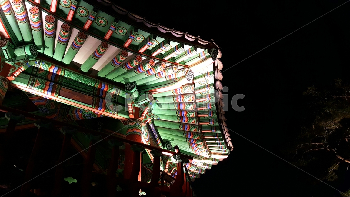 팔각정,기와,한국,전통,조명,밤,응봉산,야경,밤,풍경,nightscape,night,landscape,한국전통,한국문화,korean traditional,korean culture,건축물,건물외관,exterior,building,structure,architecture,construction,banister,난간,handrail,건물