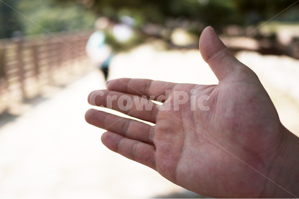 손,남자손,인간,hand,화살표,손바닥,human,사람,성인손,지문,몸,바디,안내판,person,안내,연출,컨셉,콘셉,먼저,거리,자연,사람,인물,인간,human,person,신체일부,몸,body