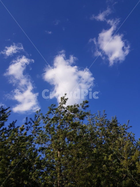 여름하늘,하늘,구름,풍경,바람,자연,풍경,nature,landscape,outdoors,옥외