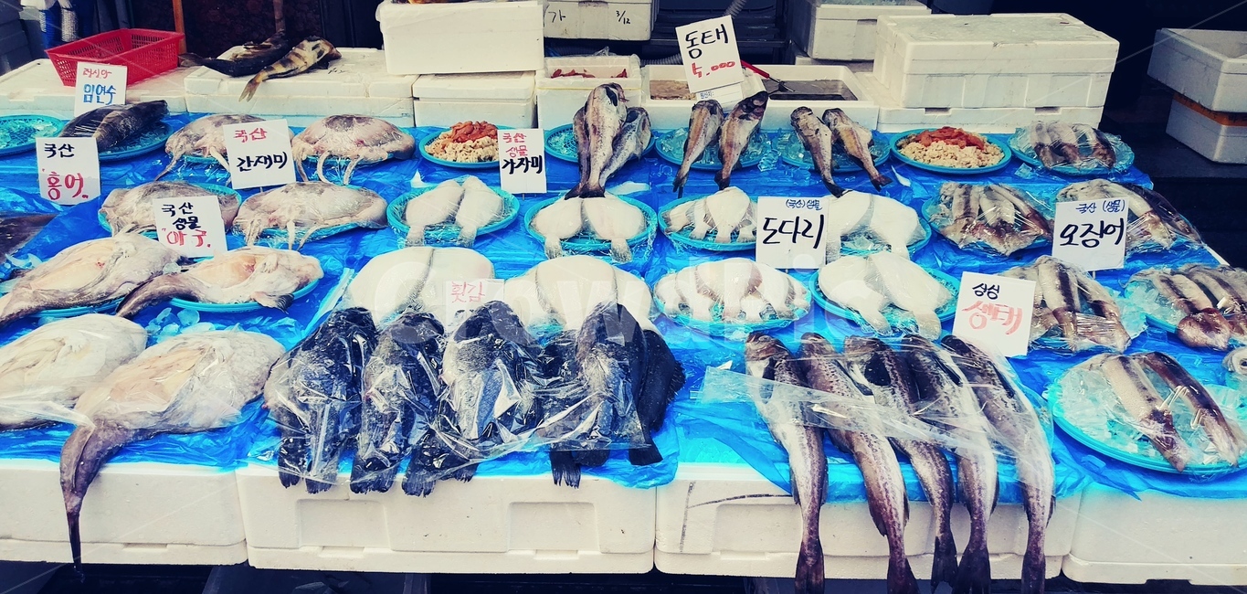 생선가게,어패류,생선,음식,food