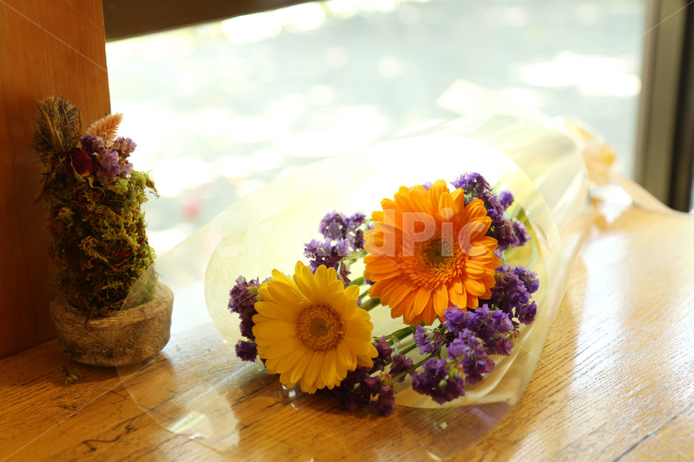 꽃,고백,꽃다발,선물,기념일,flowers,화분,화단,감성,꽃,flower,기념일,축하,anniversary,congratulation,celebrate,celebration