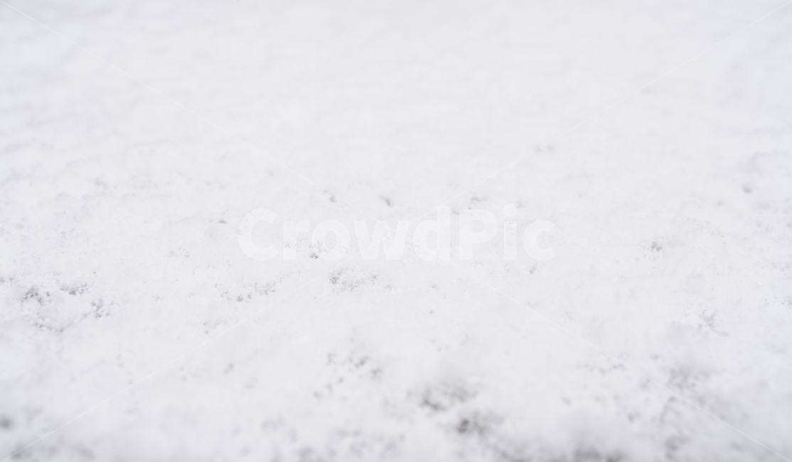 눈,겨울,풍경,첫눈,배경,촉감,하얀색,흰색,날씨,snow,winter,background,texture,white,weather,cold,겨울,계절,winter,season,자연,풍경,nature,landscape