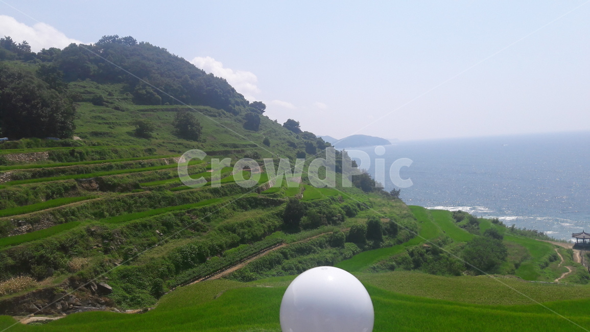 옥외,잔디,자연,식물,들,자연,풍경,nature,landscape,outdoors,field,plant,grass