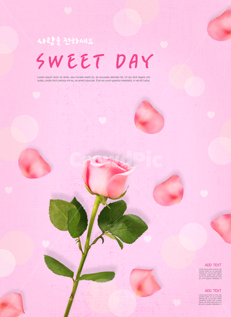 이벤트,화이트데이,발렌타인데이,성년의날,러블리,생일,고백,사랑,기념일,연인,애인,선물,기념,시즌,하트,달콤한,배경,팝업,꽃,장미,종이,기념일,축하,anniversary,congratulation,celebrate,celebration,그래픽,일러스트레이션,graphic,illustration