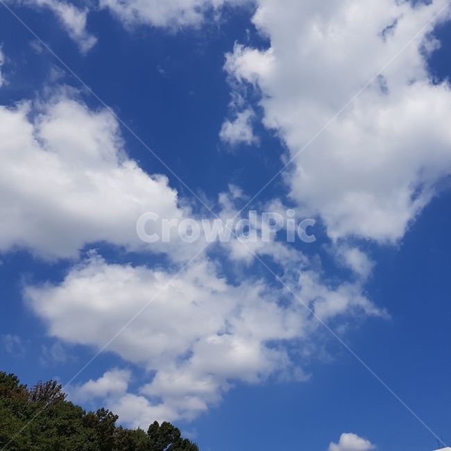 하늘,아침,구름,맑음,쨍쨍,푸름,맑은하늘,sky,skyblue,cloud,goodday,goodmorning,자연,풍경,nature,landscape,outdoors,옥외,azure sky,푸른 하늘