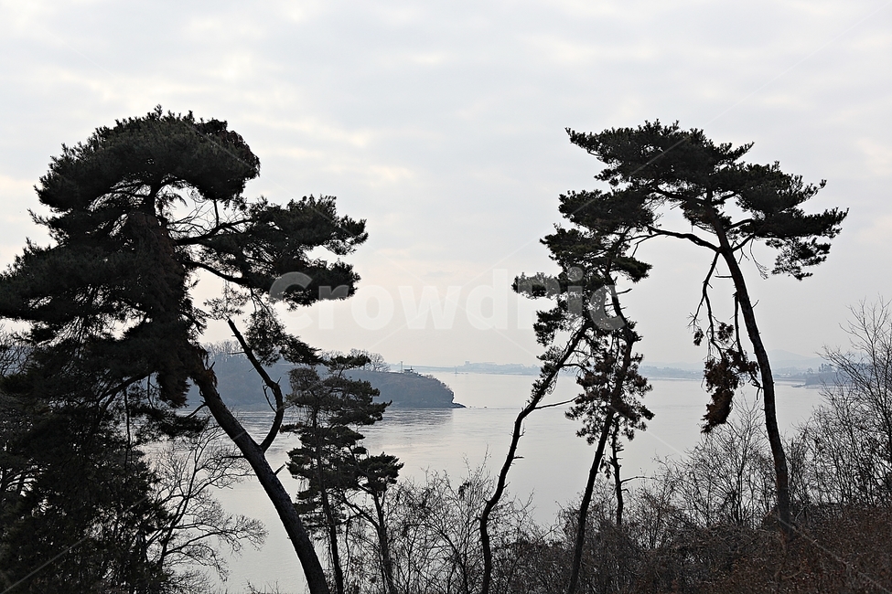 광성보,손돌매돈대,진,성곽,담,돌담,겨울,자연,식물