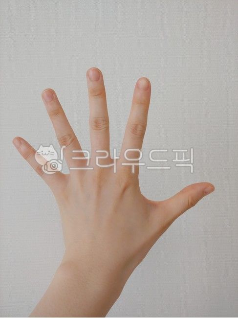 5,손가락,보,사람,여자손,인간,human,person,흰색,여자,사람,인물,인간,human,person,신체일부,몸,body
