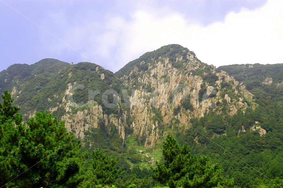 산방산,산,자연,풍경,바위산,제주,제주도,푸르름,녹색,하늘,구름,자연,풍경,nature,landscape,tree,나무,plant,식물,fir,전나무,outdoors,옥외