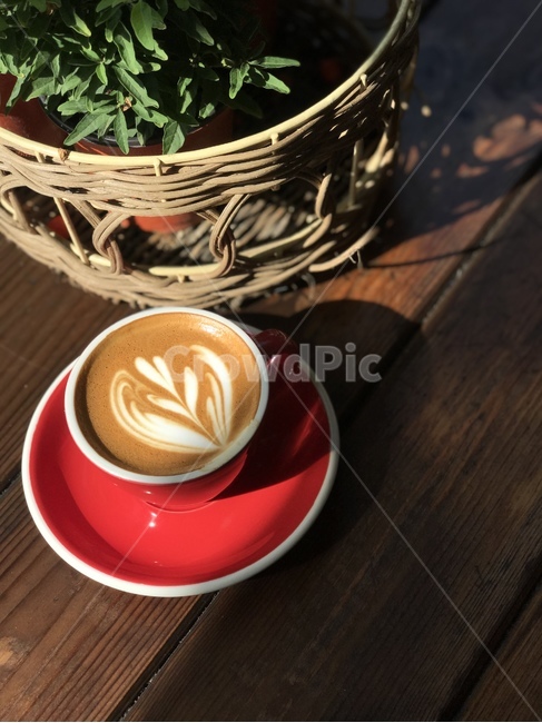 커피,라떼아트,튤립,커피아트,카페라떼,coffee,latteart,tulip,coffeeart,cafelatte,음료수,drink,beverage,커피,카페,coffee,cafe