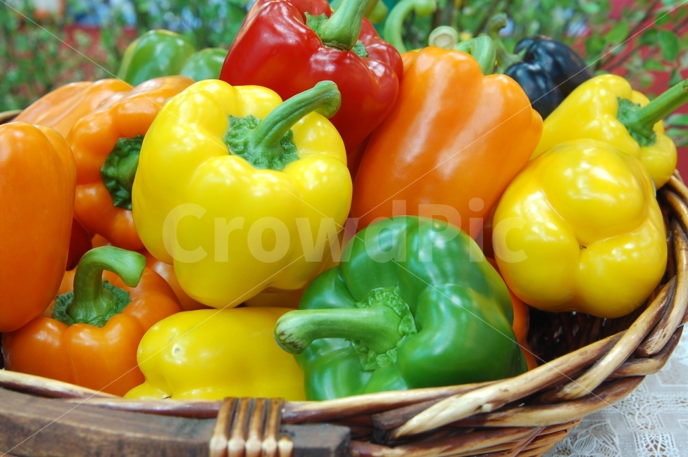 Red,basket,paprika,color,Color,yellow,vegetable,Orange,pimento,colorful
