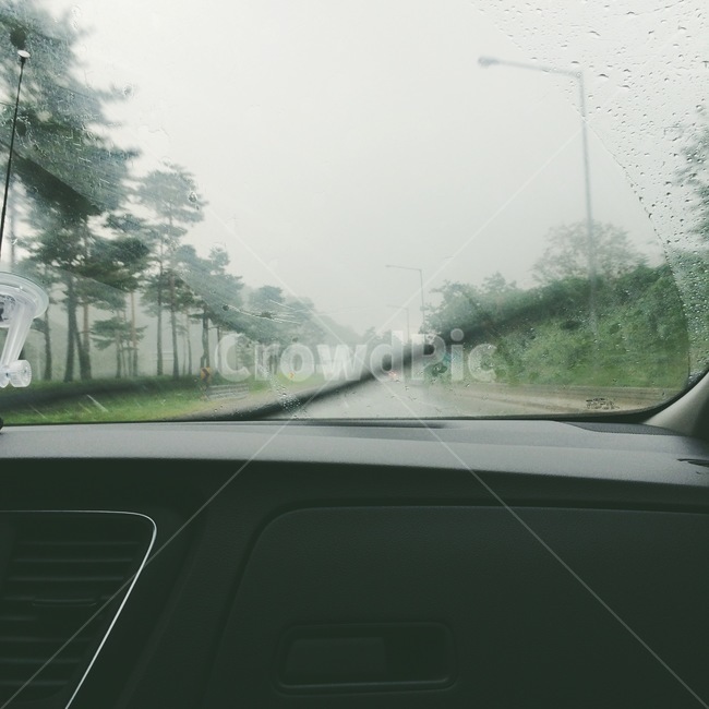드라이브,비오는날,나무,자동차,도로,교통,교통수단,traffic,transportation