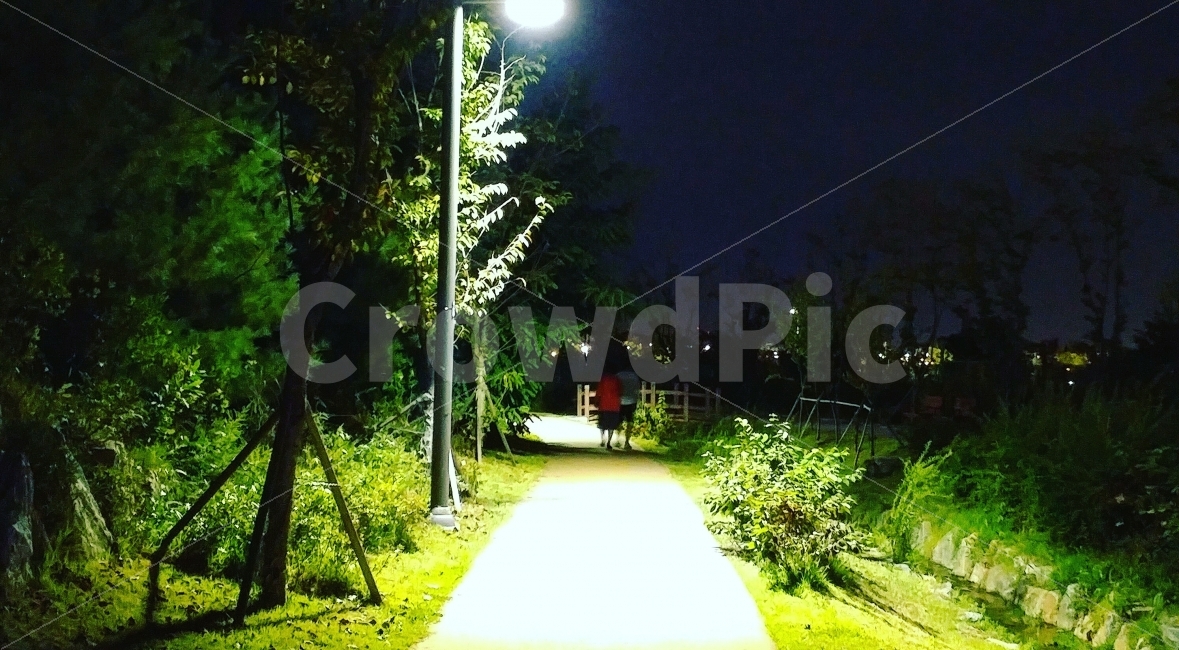 산책,저녁,부부,가로등,동행,길,자연,풍경,nature,landscape,야경,밤,nightscape,night,사람,인물,인간,human,person,path,통로,flare,플레어,light,빛,outdoors,옥외
