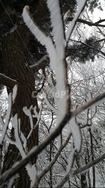 산,등산,산풍경,관악산,경치,겨울,계절,winter,season