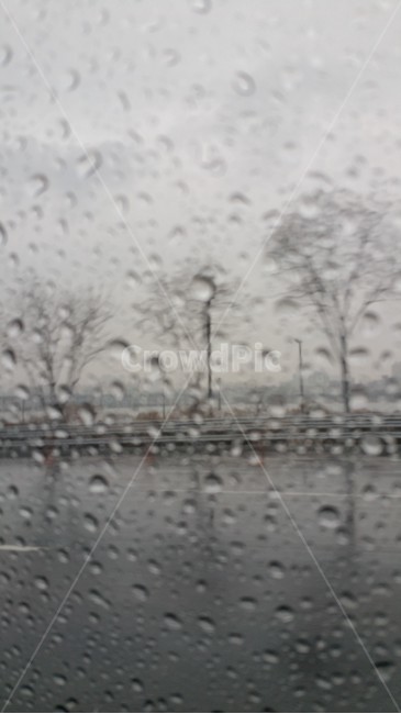 비,rain,겨울비,창가,감성,감성사진,도로,빗방울,비오는날,나뭇가지,나무,tree,자연,nature,날씨,난간,옥외,outdoors,weather,비,비오는날,rain,rainy