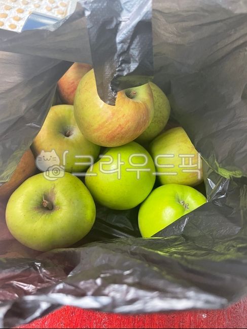 Apple,Aori apple,black plastic bag,fruit,green apple