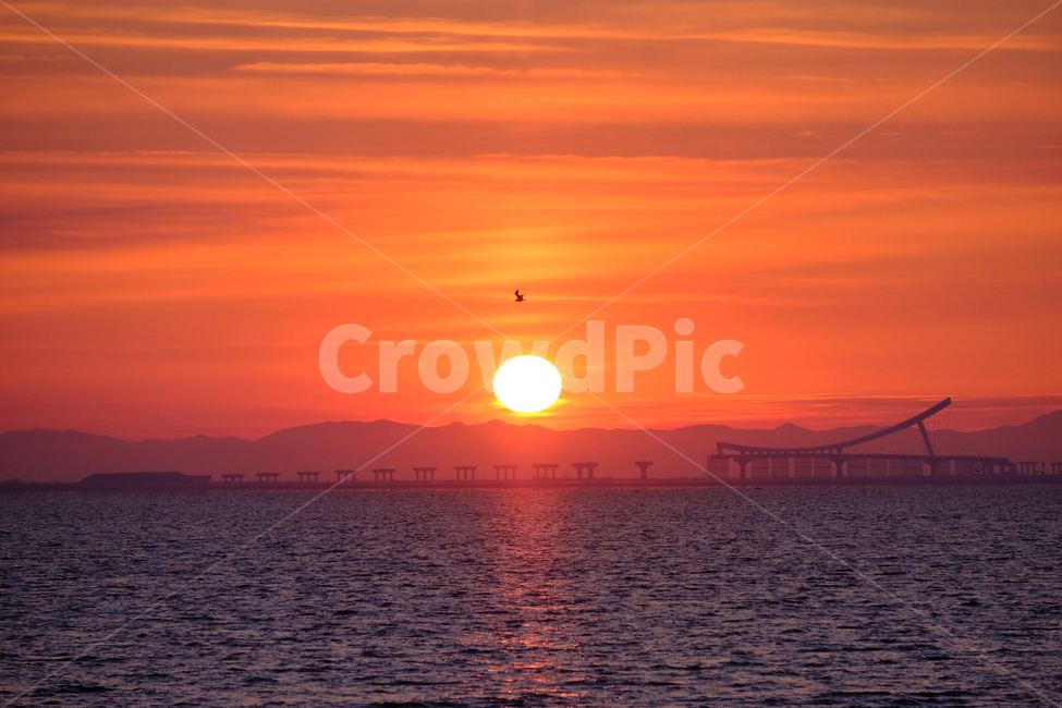 일출,선라이즈,sunrise,해오름,태양,해,sun,바다일출,붉은태양