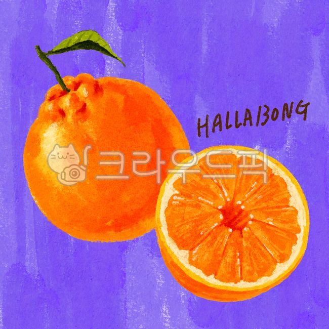 Hallabong Illustration,citrus fruits,fruit,Tangerine illustration,Hallabong,food,citrusfruit,orange,plant,illustration,oil pastel