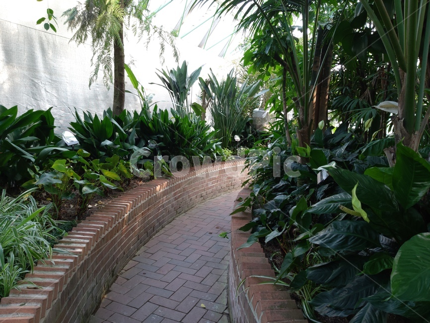 옥외,garden,정원,식물원,나무,식물,자연,plants,nature