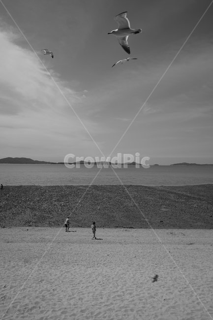 바다,갈매기,자연,자유,흑백사진,해변,바다,beach,sea,사람,인물,인간,human,person,어린이,어린아이,child,children,kid,흑백,모노톤,monochrome,black and white