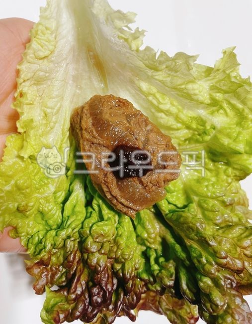 아롱사태,아롱사태찜,아롱사태양념찜,찜,소고기,소,고기,육류,음식,고추장,고기쌈,식사,쌈채소,쌈,상추,야채,채소,lettuce,vegetable,food,meal,beef