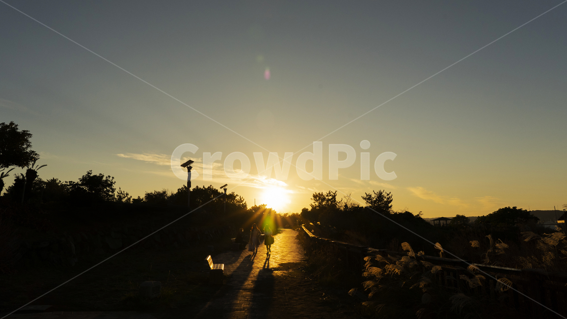 하늘,해질녘,역광,태양,석양,일몰,nature,sunset