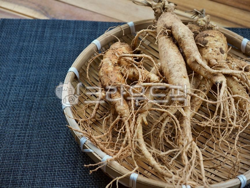 인삼,수삼,인삼뿌리,동양의학,한약재료,한약재,약재,뿌리,식물,뿌리식물,음식,건강식품,orientalmedicine,chinesemedicineingredients,herbalmedicine,ginseng,medicine,root,plant,food,healthfood,한의학,한약,한방