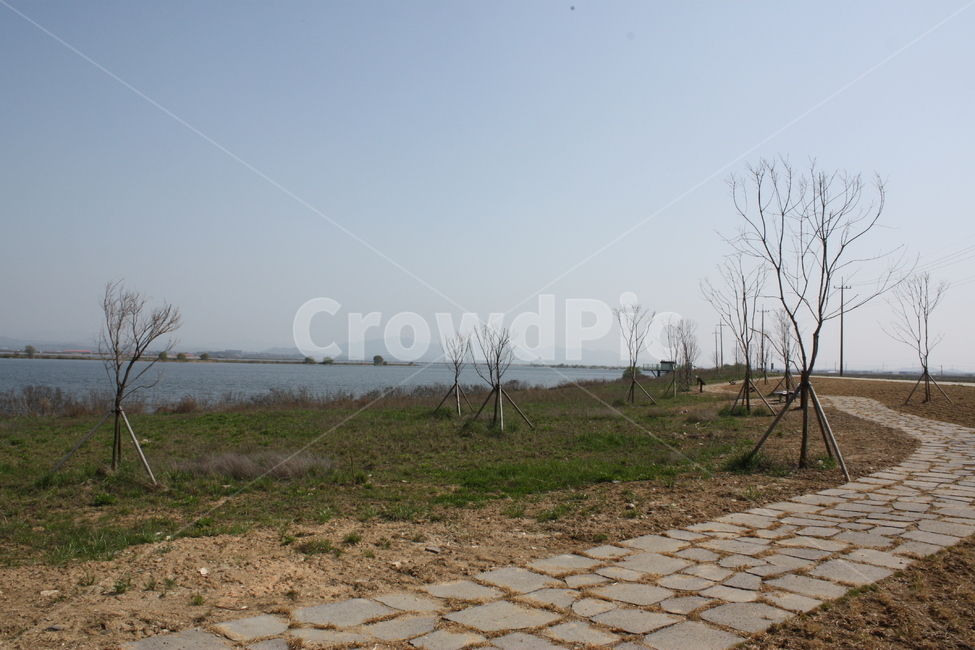 삽교천,공원,풍경,자연,나무,tree,돌길,하늘,sky,park,nature,자연,풍경,nature,landscape,flagstone,판석,walkway,보도,path,통로