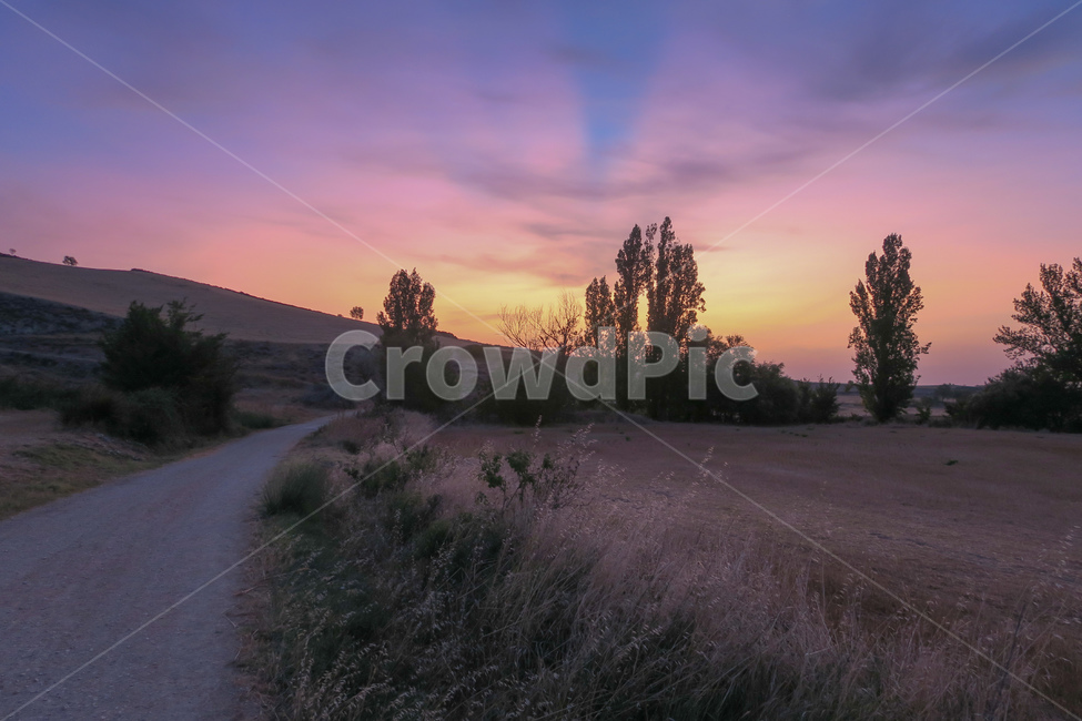 스페인,spain,españa,산티아고순례길,순례길,산티아고,순례,pilgrim,peregrino,caminodesantiago,camino,순례자,길,road,way,dirtroad,흙길,풍경,landscape,자연,outdoors,옥외,nature,asansol,tosansol산솔가는길,새벽,dawn