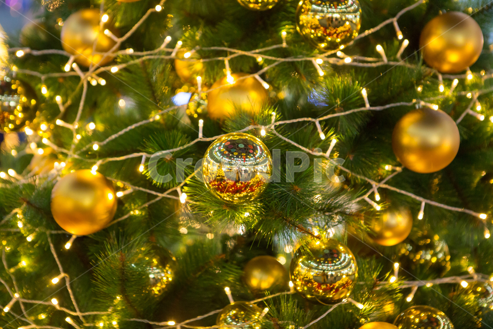 christmas tree,bulb,tree,winter,christmas,light,merrychristmas,december,decoration,Merry Christmas