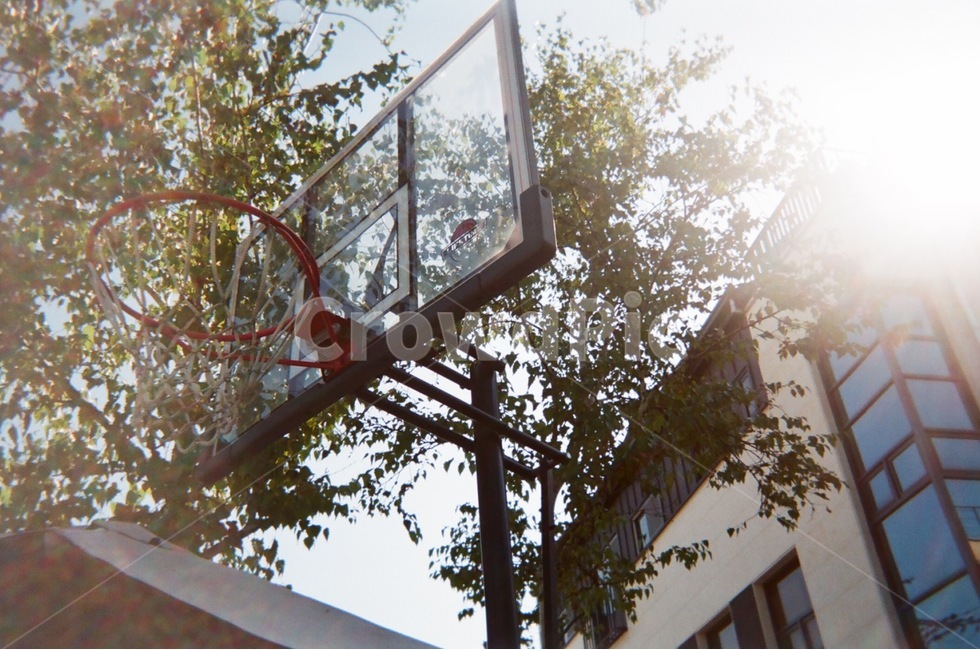필름카메라,감성,농구대,추억,햇빛,아날로그,아날로그감성,스포츠,레저,운동,sports,leisure,exercise