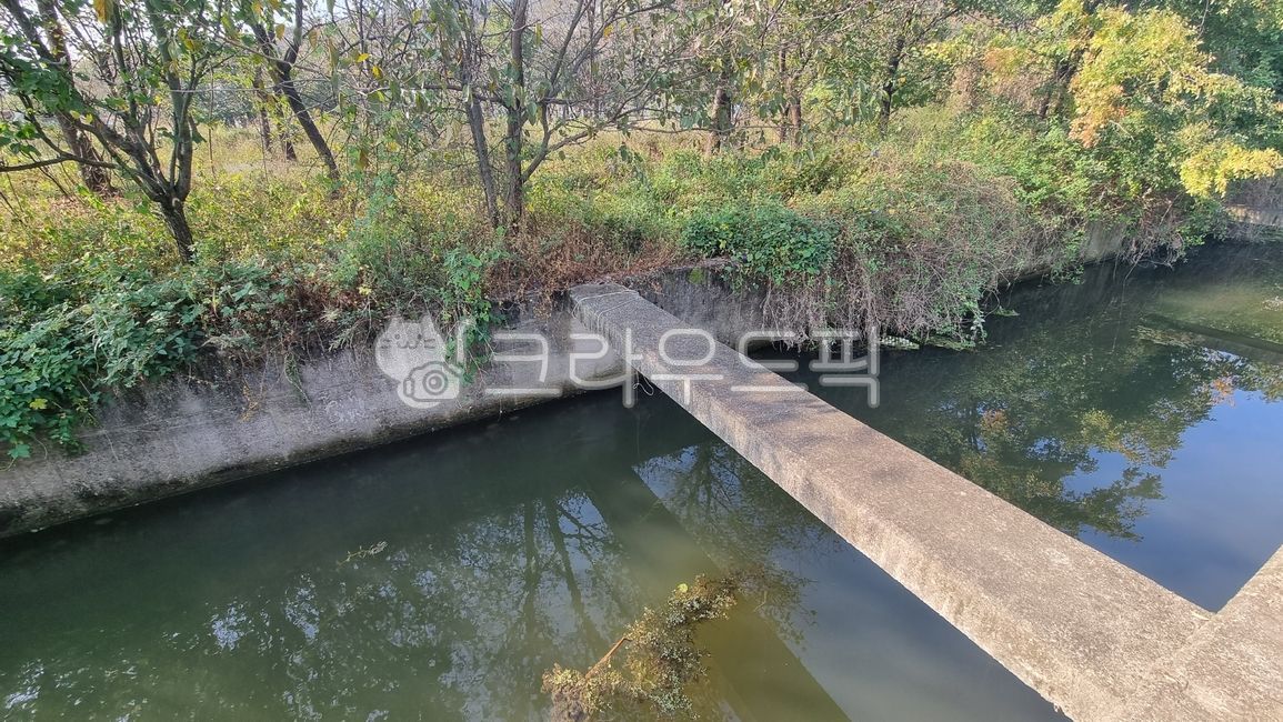 도랑,자연,pond,연못,시멘트,옛날