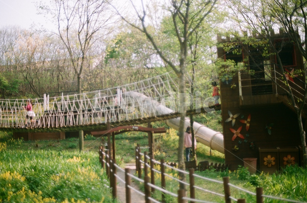 식물원,필름사진,아이들,휴식,film,필름,자연,자연,풍경,nature,landscape,사람,인물,인간,human,person,어린이,어린아이,child,children,kid